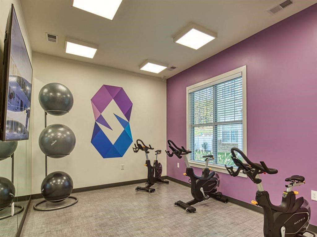 Peloton Bike And Training Space at Sapphire at Centerpointe, Virginia, 23114