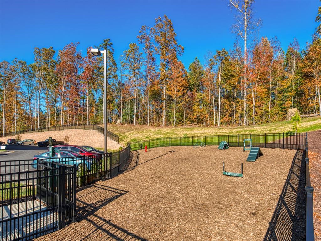 Dog Park at Sapphire at Centerpointe, Virginia, 23114