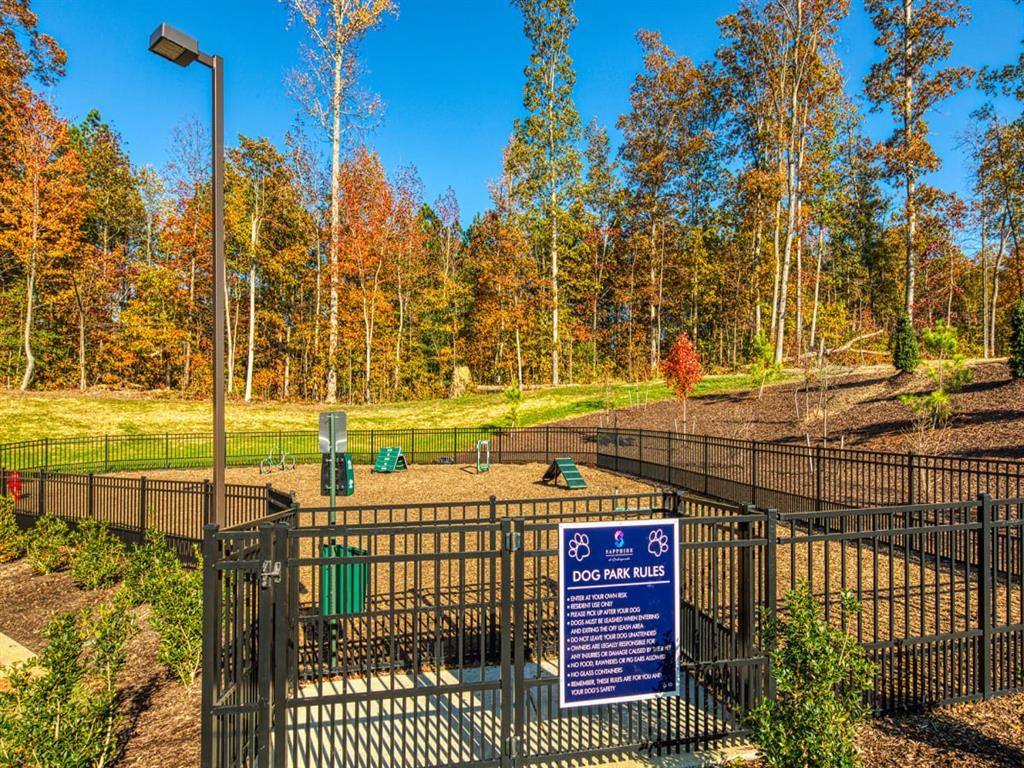 Pet Park at Sapphire at Centerpointe, Midlothian, VA, 23114