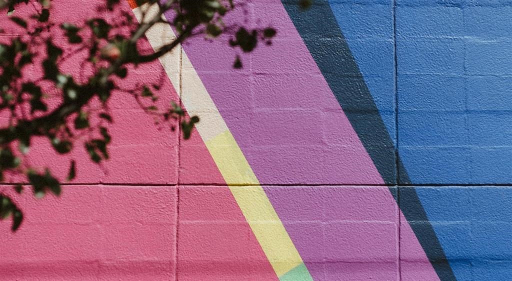 a pink and blue wall with a tree branch in the foreground