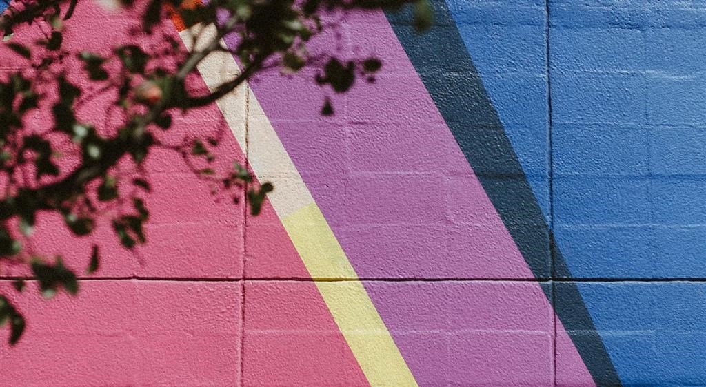 a pink and blue wall with a shadow of a tree