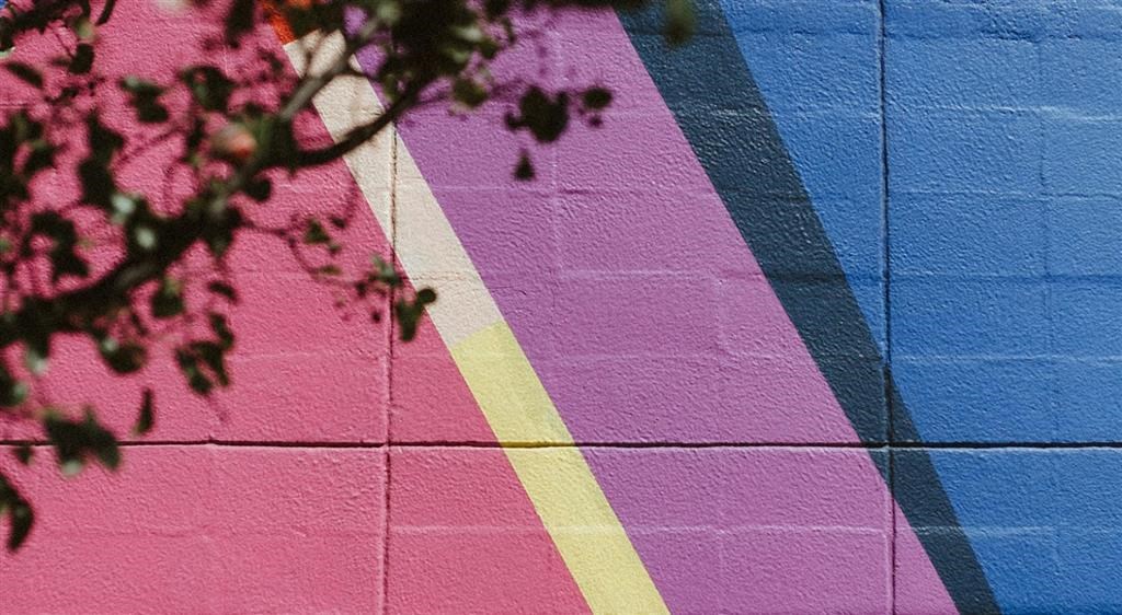 a pink and blue wall with a shadow of a tree