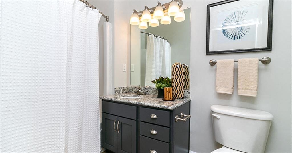 a bathroom with a toilet sink and mirror  at Saltmeadow Bay, Virginia Beach, Virginia