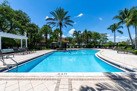 A swimming pool surrounded by palm trees and lounge chairs.