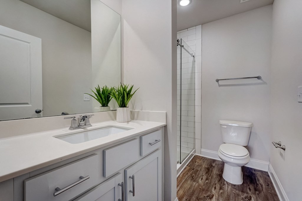 a bathroom with a sink toilet and a shower