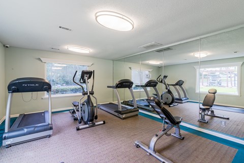 A gym with treadmills, exercise bikes, and other equipment.