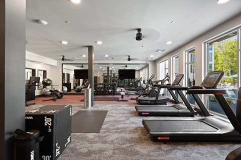 A gym with treadmills and exercise equipment.