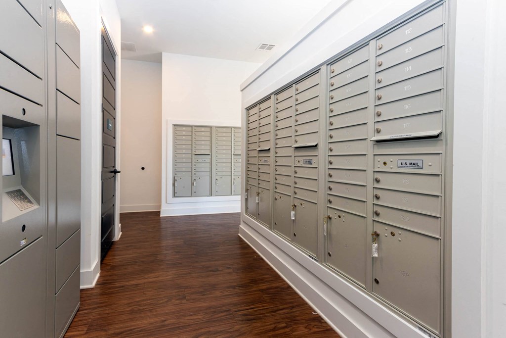 the walk in closet has lockers and a television at Capstone at Banks Crossing, Commerce, Georgia
