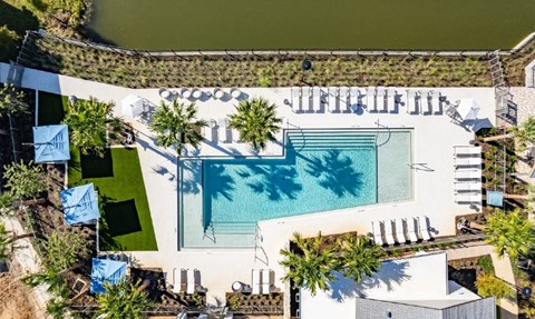 An aerial view of a pool surrounded by palm trees and lounge chairs.
