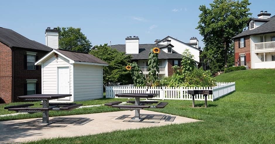 a park with picnic tables and sunflowers at Bellemeade Farms Apartments, Leesburg, 20175