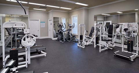 A gym with a variety of equipment including a leg press machine, a chest press machine, and a leg curl machine at Austin Chase Apartments, Macon, GA 31210