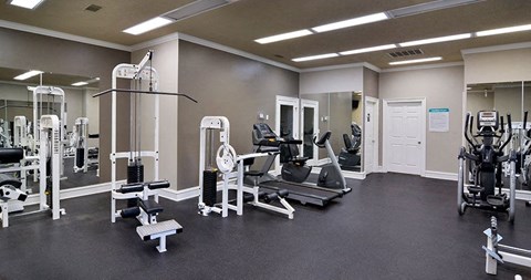 A gym with a variety of equipment including a leg press machine, a chest press machine, a leg curl machine, a leg extension machine, a lat pulldown machine, a seated calf raise machine at Austin Chase