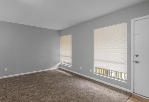 A room with a carpeted floor and a door with a window.