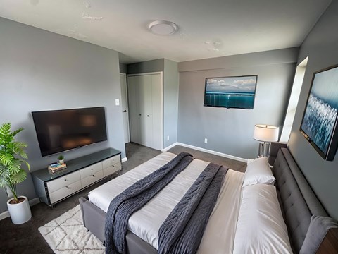 A bedroom with a large bed and a television.