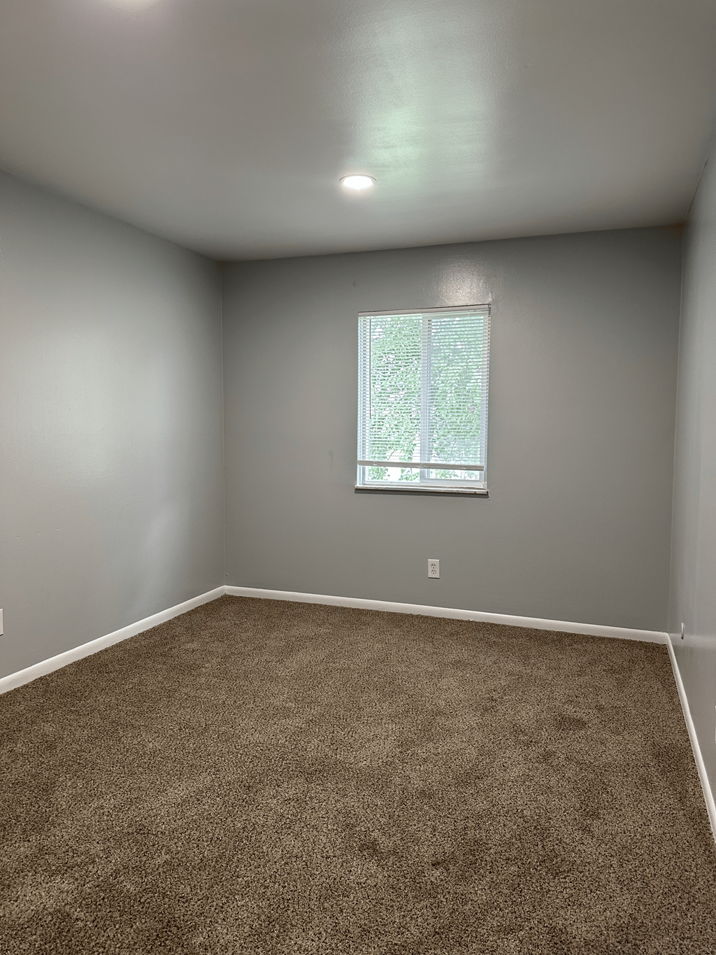 A room with a carpeted floor and a window.