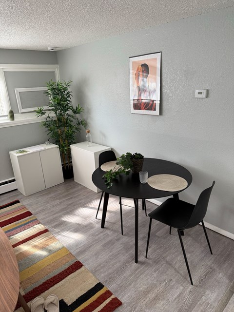 A living room with a round table and chairs, a potted plant, and a rug on the floor.