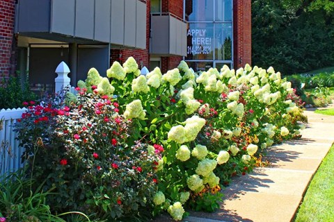 a bunch of flowers that are in front of a building