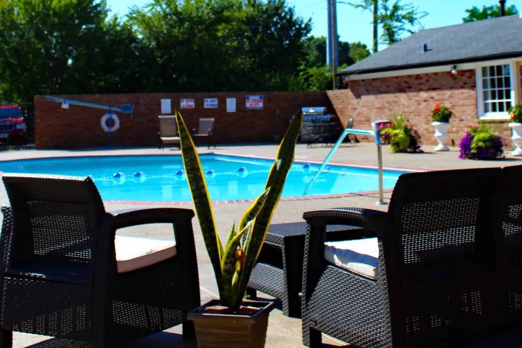 a swimming pool with chairs and a plant in front of it