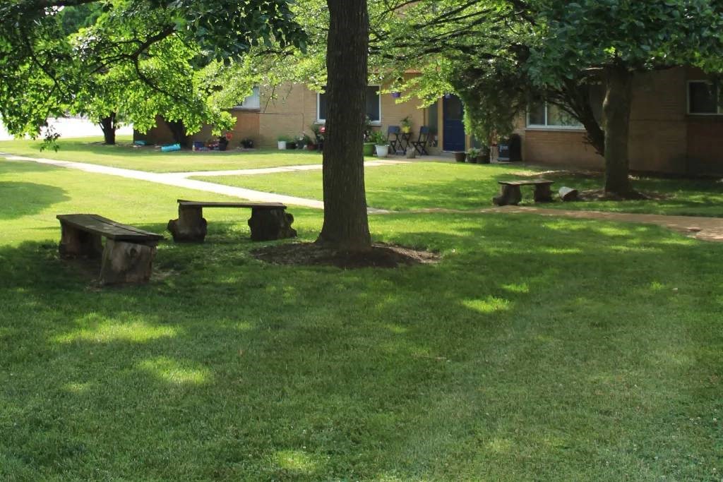 a group of benches in a grassy area next to a tree
