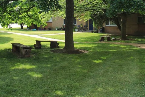 a group of benches in a grassy area next to a tree