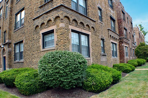 A row of red brick buildings with green bushes in front.