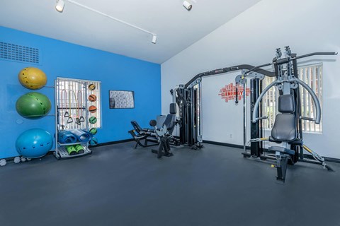 the gym at the flats at big tex apartments
