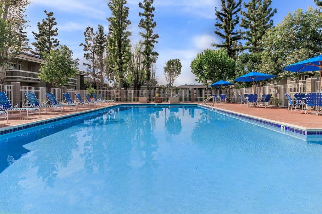 the swimming pool at our apartments
