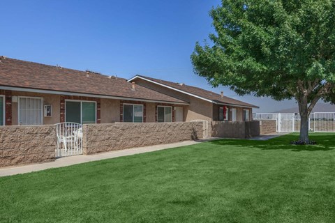 A house with a green lawn and a tree in front.