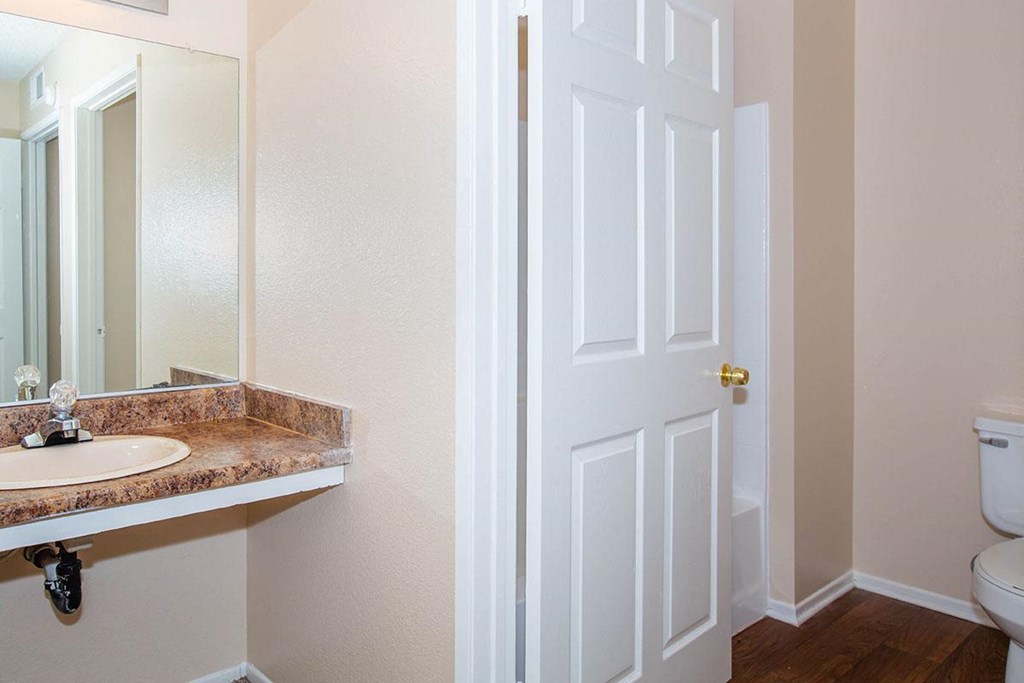 a bathroom with a sink and a toilet
