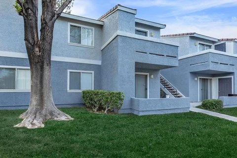 A modern house with a tree in front.