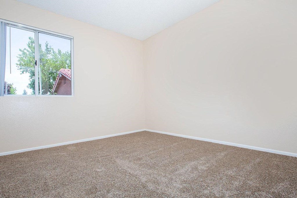 an empty room with carpet and a window