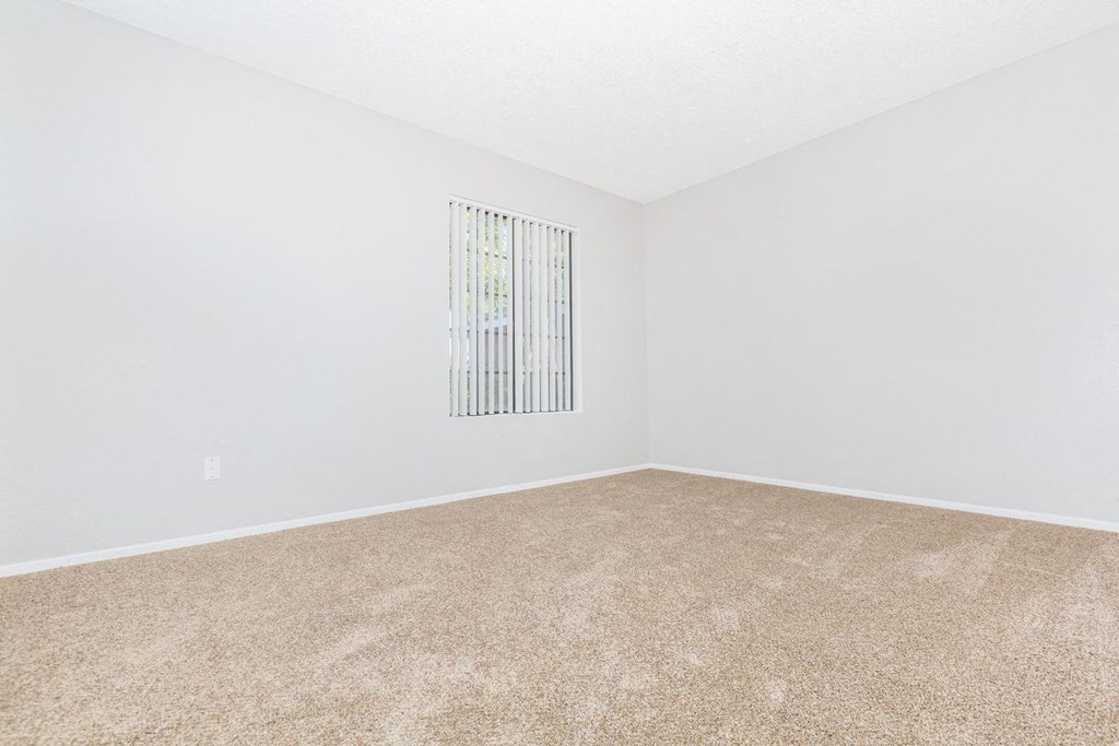 an empty room with carpet and a window