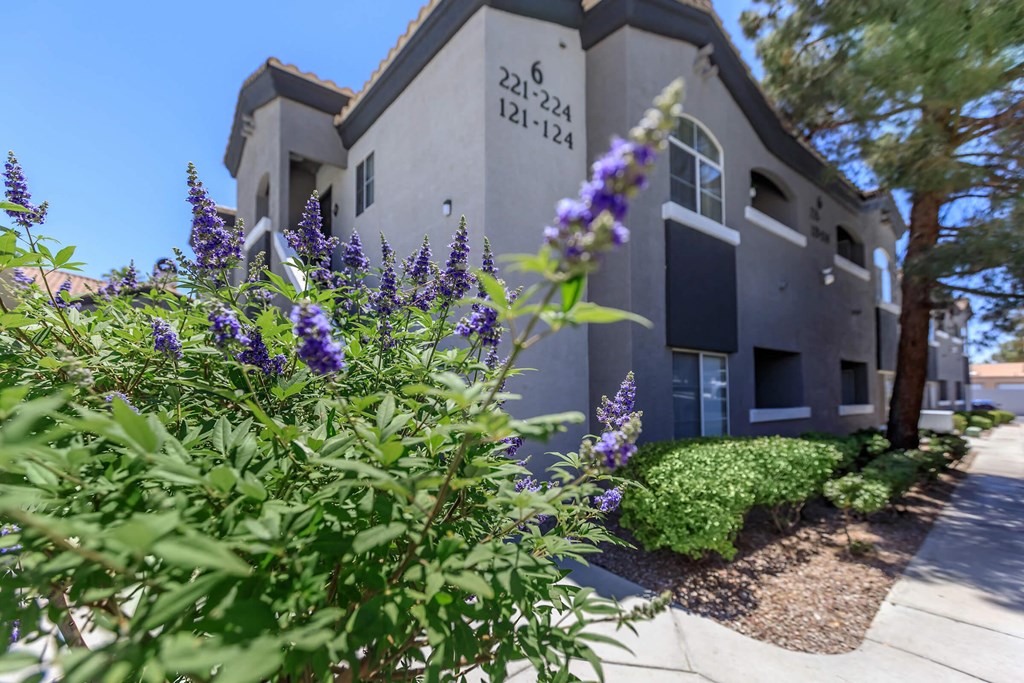 the building in which the apartment is located