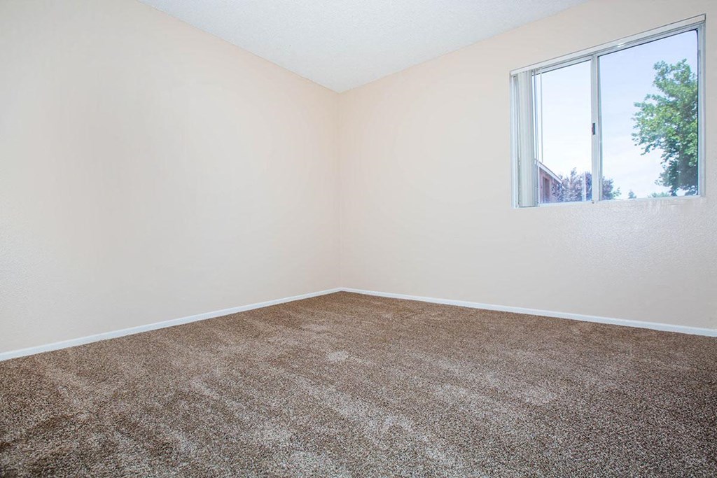 an empty room with carpet and a window