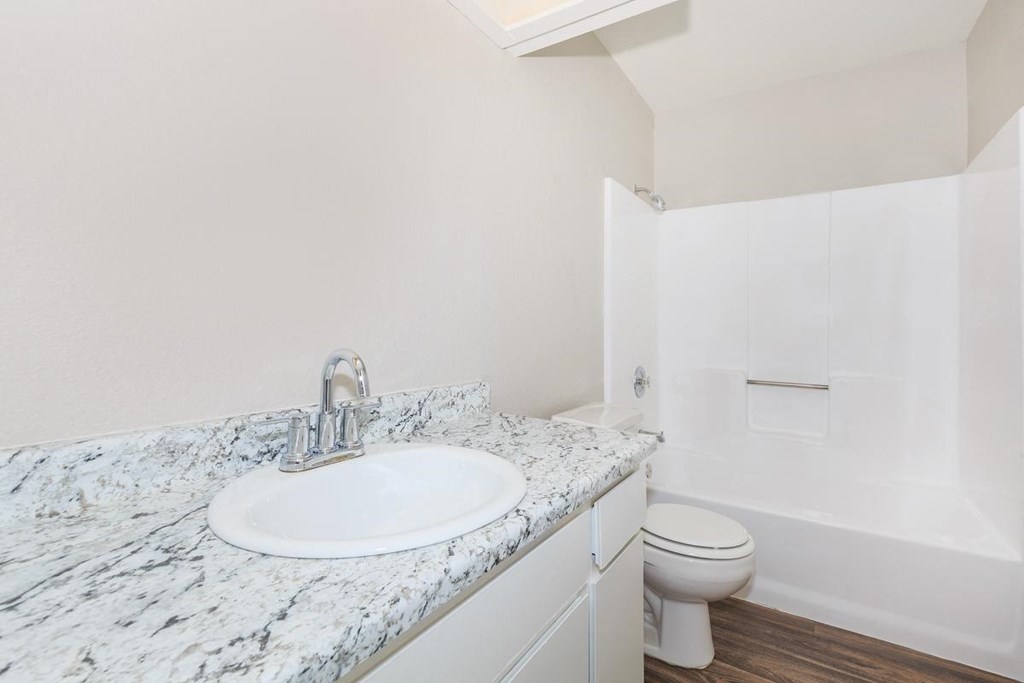 a bathroom with a sink and a toilet