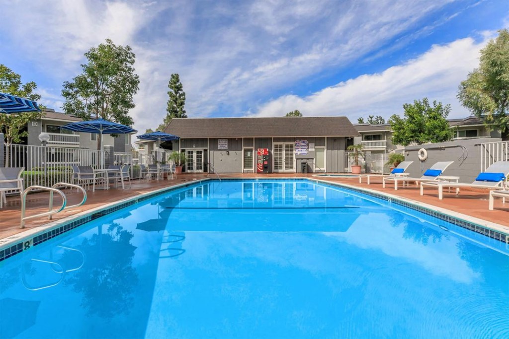 our apartments have a large swimming pool with chairs and umbrellas