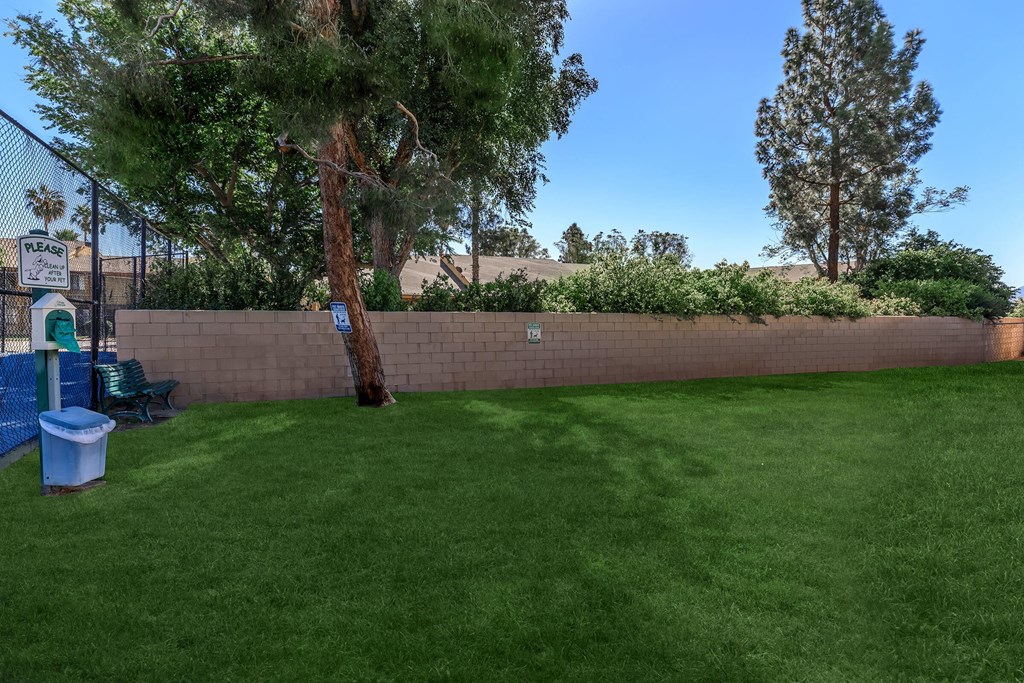 a backyard with green grass and a fence and a tree