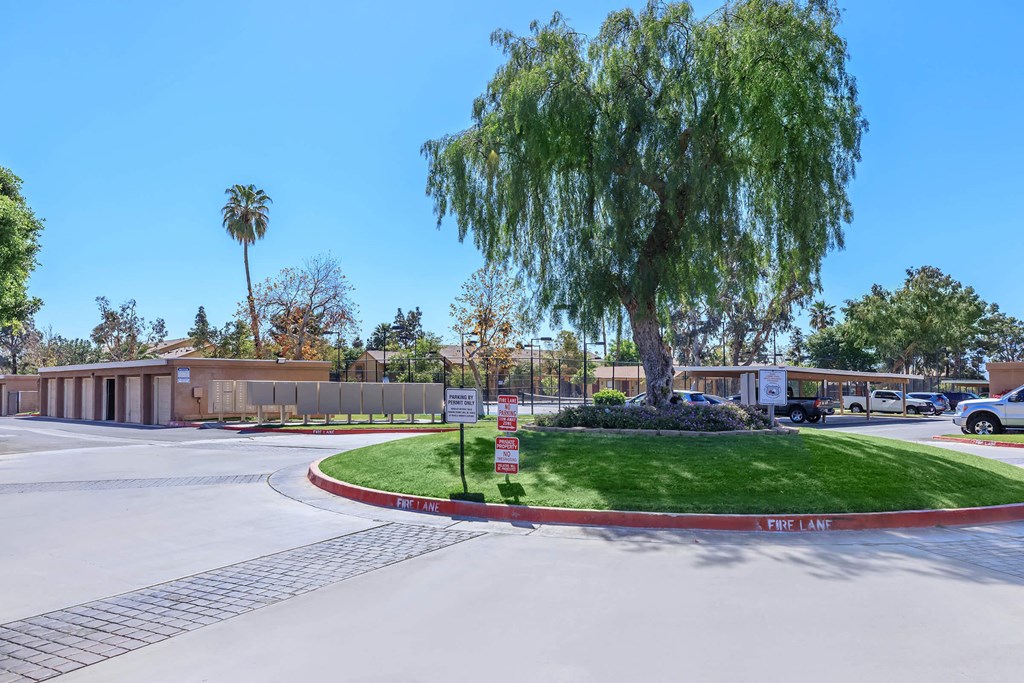 a parking lot with a tree in front of a building