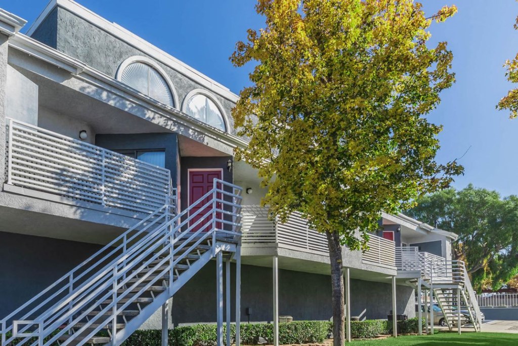 the building where the apartment is located