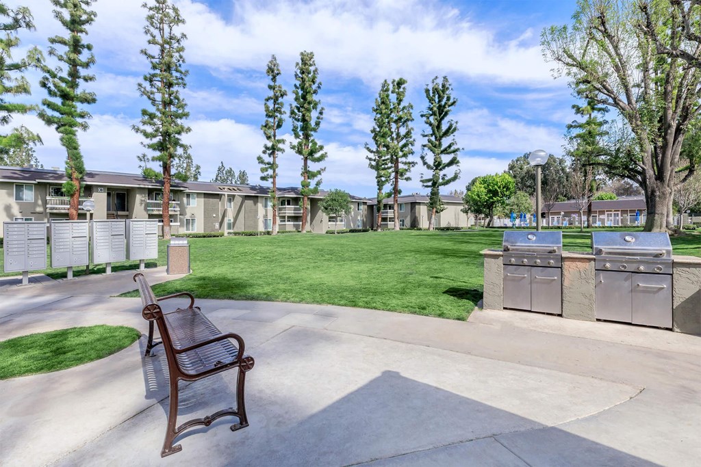 a bench sits in a park next to a grassy area