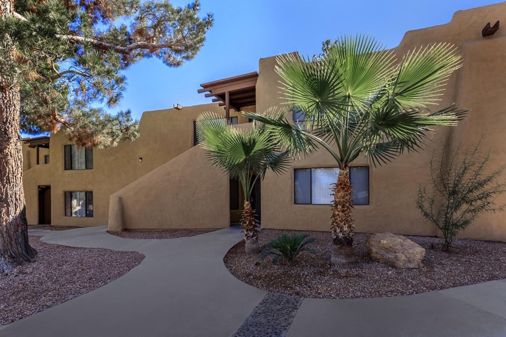 A desert-style house with a palm tree in front.