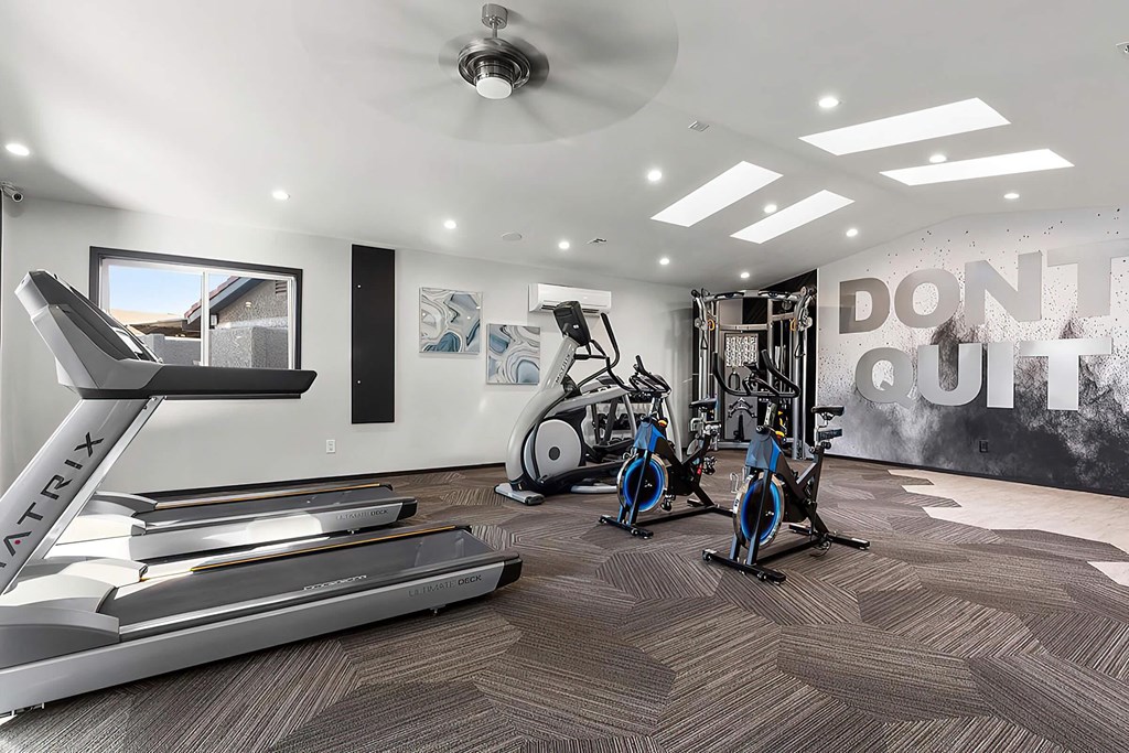 the gym in the home has treadmills and other exercise equipment