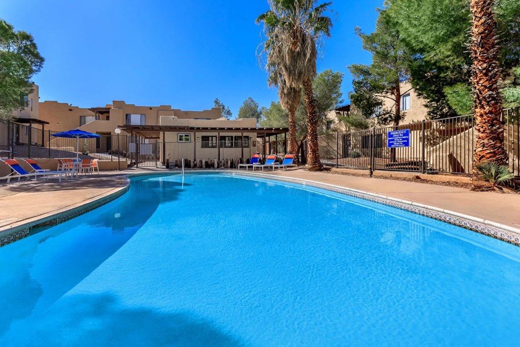 A large blue swimming pool surrounded by palm trees and a fence.