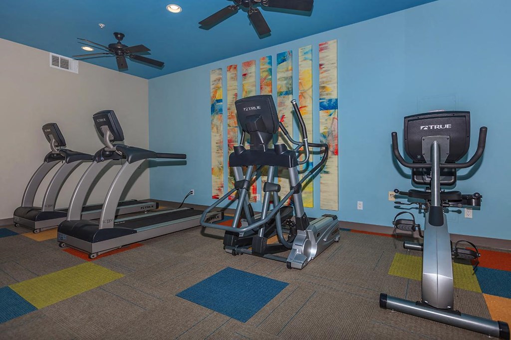 a gym with weights and cardio equipment in a home gym