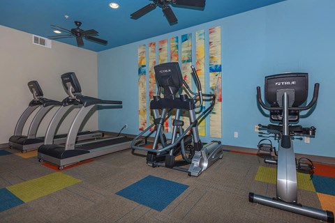 a gym with weights and cardio equipment in a home gym