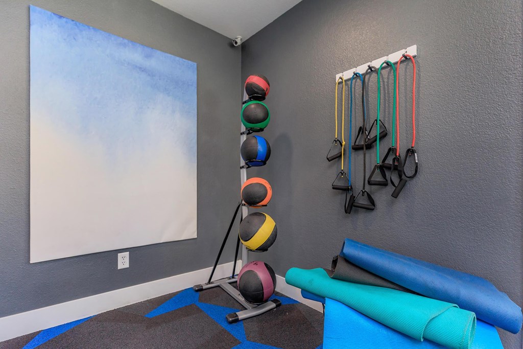 exercise room at the monarch luxury apartments