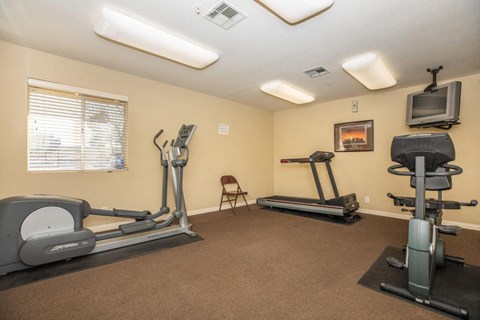 A home gym with a treadmill, elliptical trainer, and a stationary bike.
