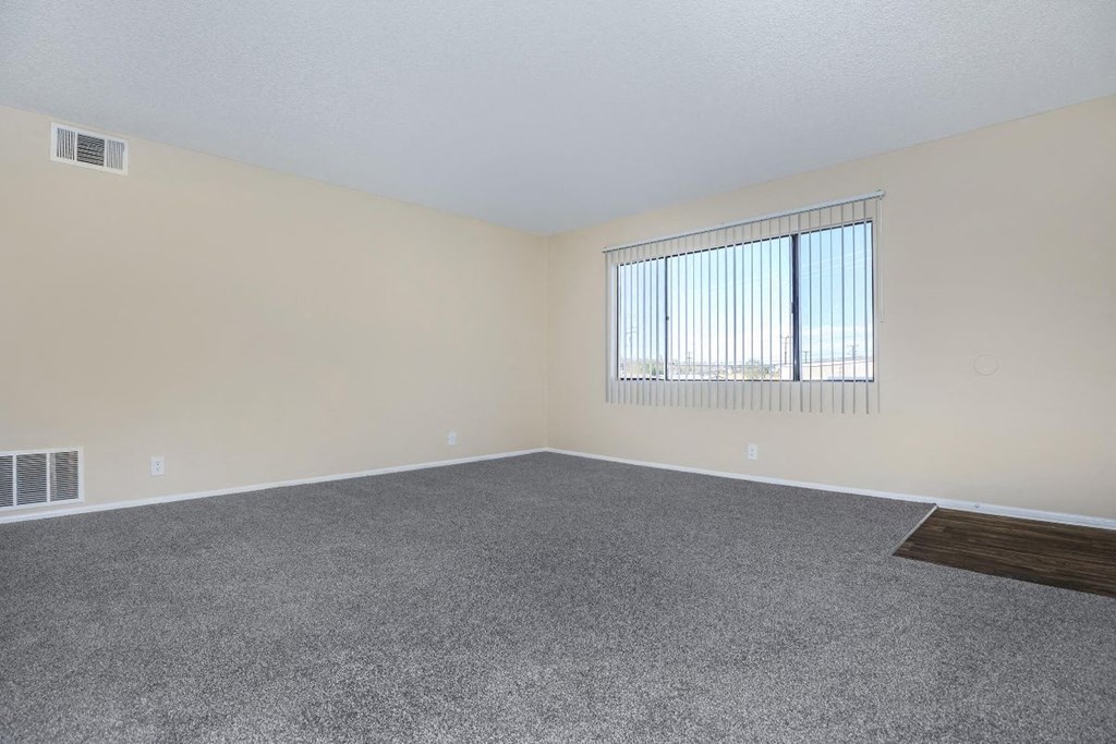 A room with a window and a carpeted floor.