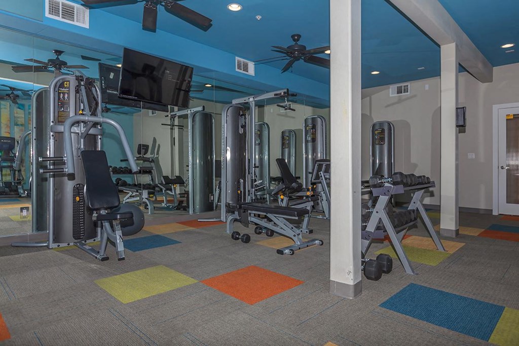 a gym with weights and cardio equipment in a building
