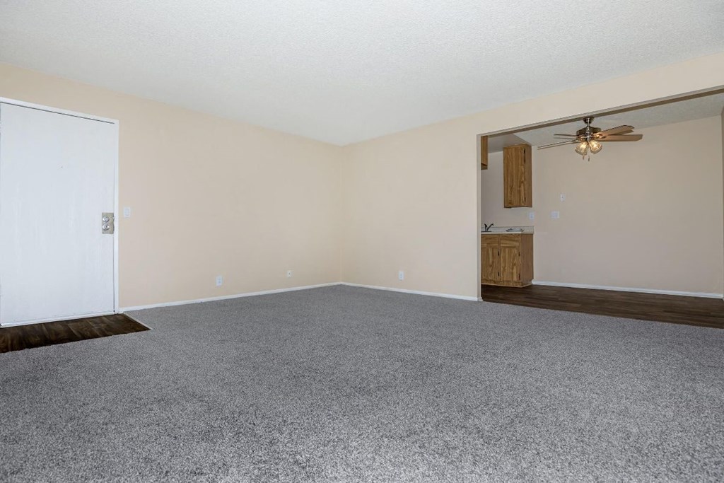 A room with a carpeted floor and a ceiling fan.